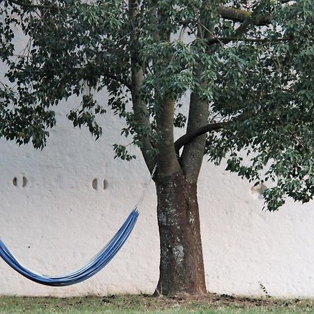 B&B Masseria Santanna Impalata Zewnętrze zdjęcie
