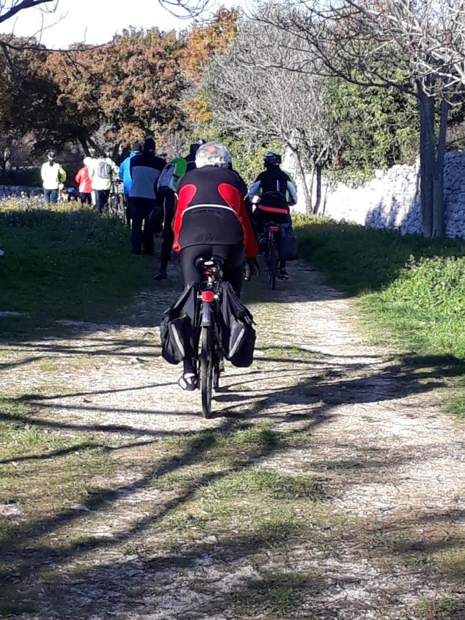 B&B Masseria Santanna Impalata Zewnętrze zdjęcie
