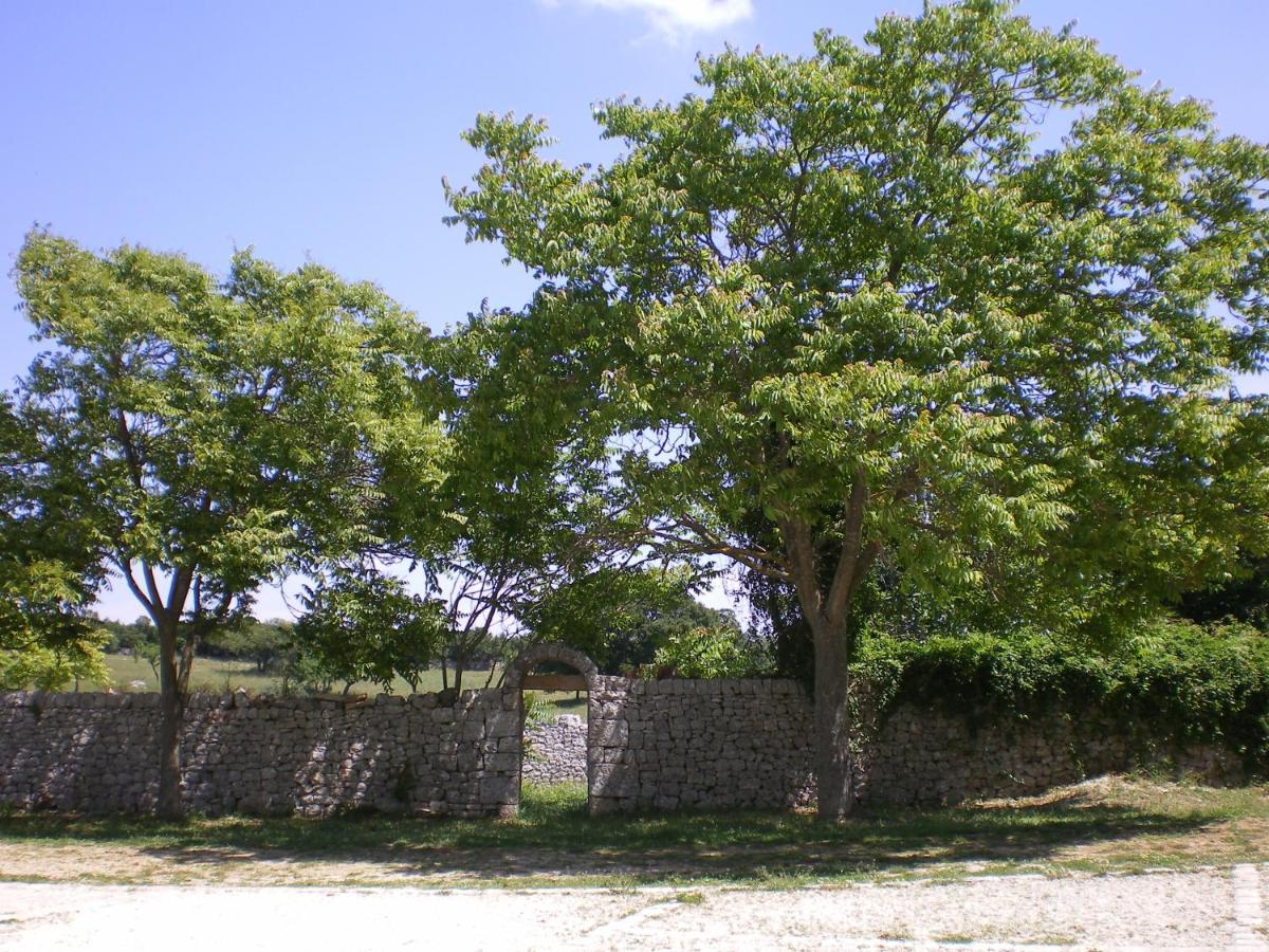 B&B Masseria Santanna Impalata Zewnętrze zdjęcie